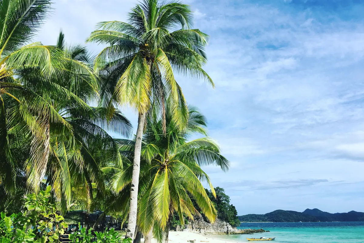 Palm trees lining a sandy beach on Culion in the Calamian Islands, Palawan.