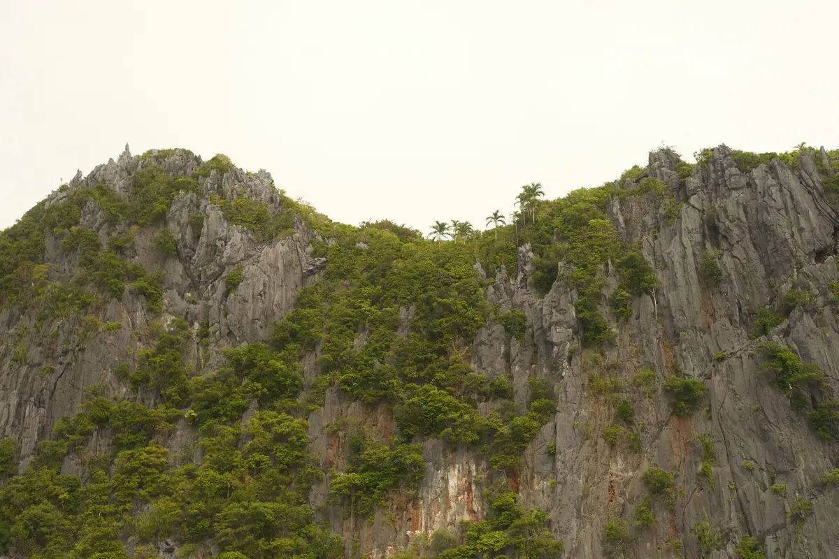 Limestone karst cliffs rising from the sea at El Nido, Palawan.